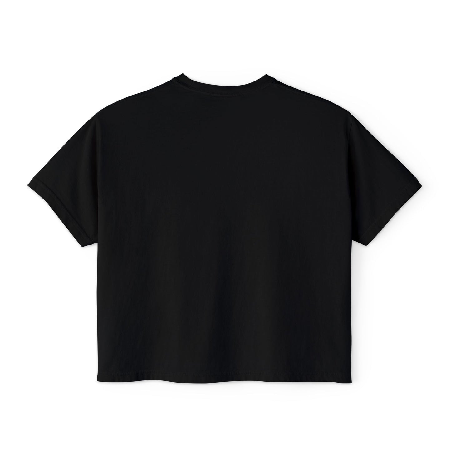 Bake America Gay Again Boxy Tee