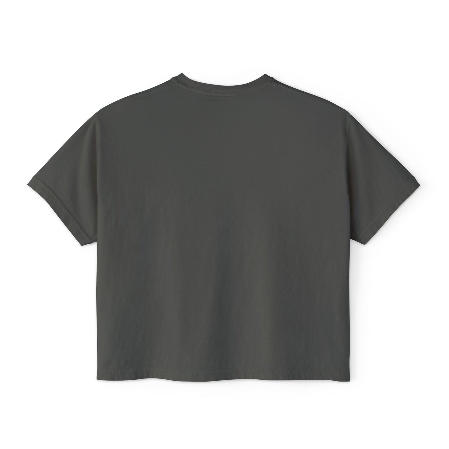 Bake America Gay Again Boxy Tee